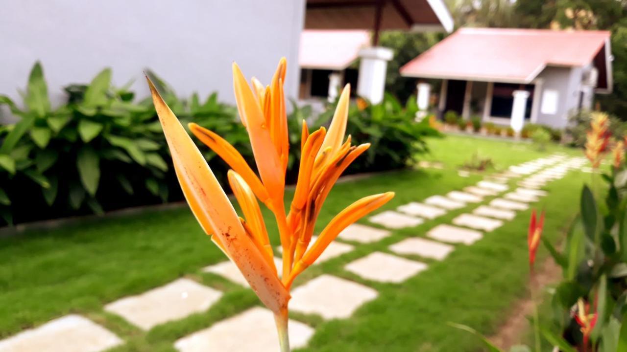 Arcadia Resort Alibaug อลีบาก ภายนอก รูปภาพ